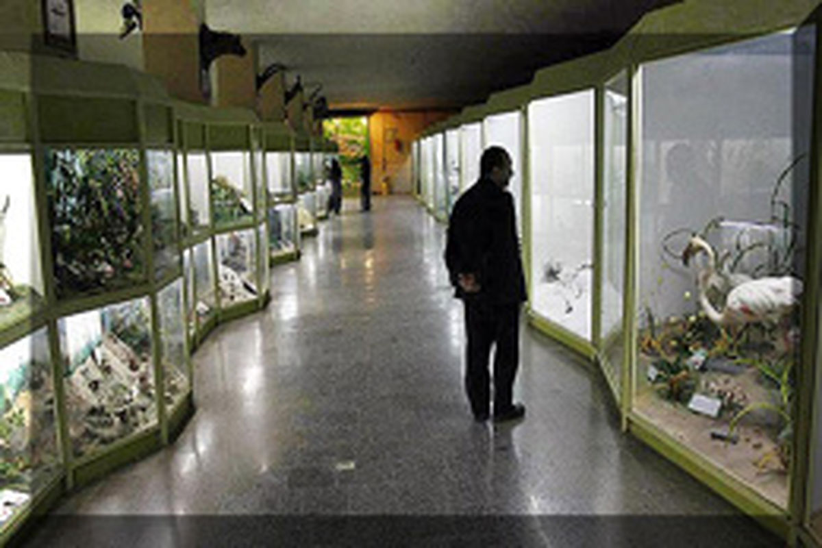 امروز بازدید از موزه‌ها و اماکن تاریخی همدان رایگان است