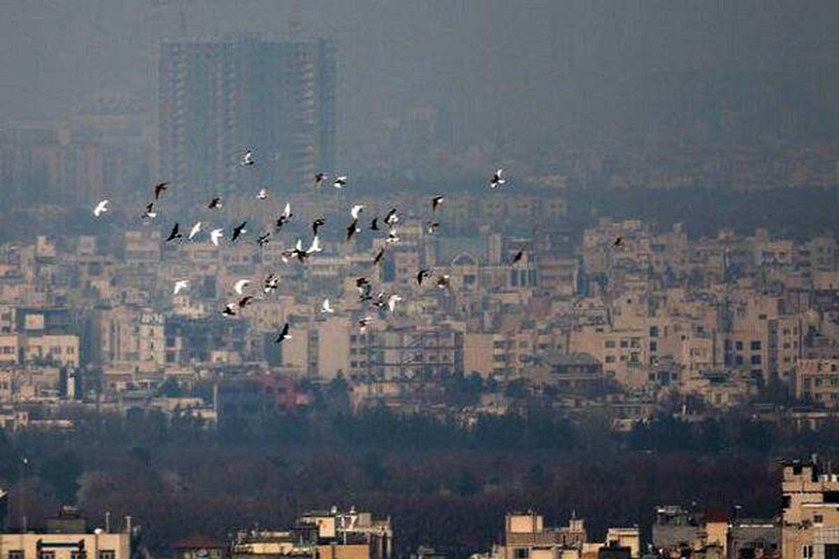 احتمال تعطیلی  مدارس دیگر شهرستان های استان تهران درپی تداوم آلودگی هوا