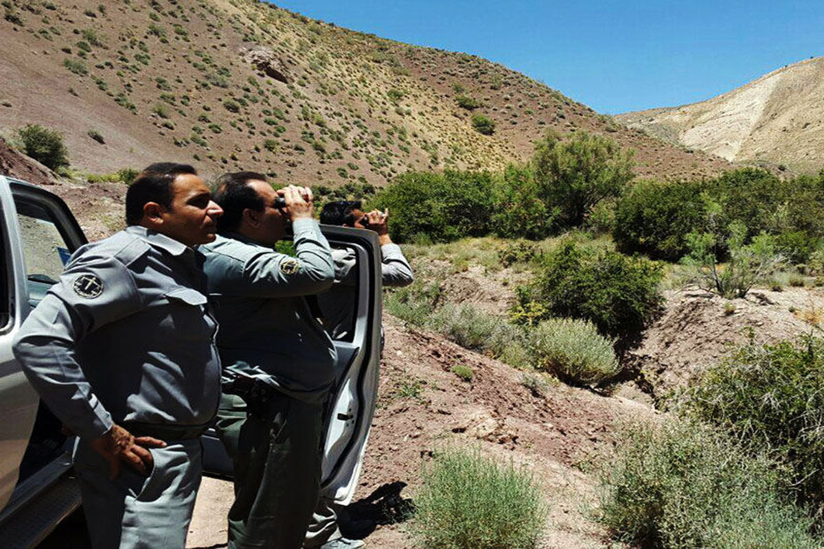 هفت مخفیگاه شکار در دامغان شناسایی و تخریب شد
