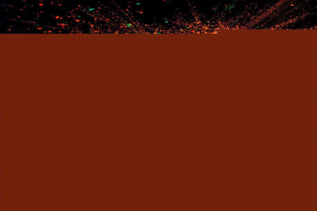 یلدایی به بلندای میلاد