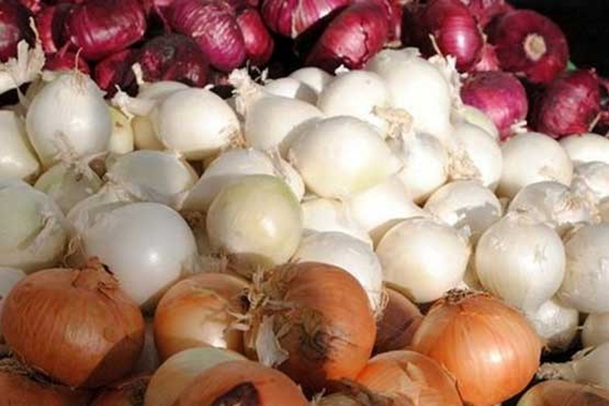 دیابتی‌ ها پیاز را فراموش نکنند