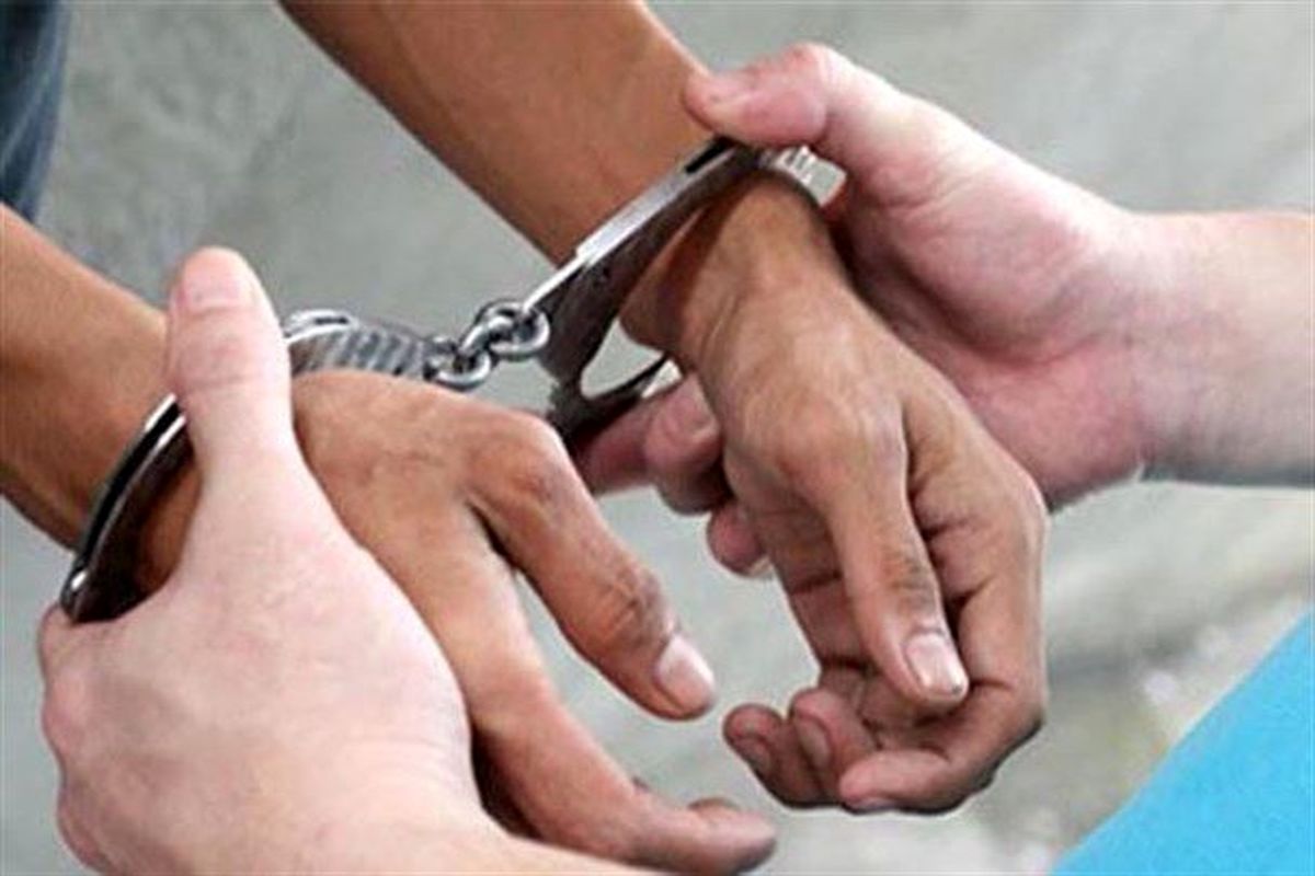 بازداشت یکی از عاملان انسداد بزرگراه امام علی(ع)