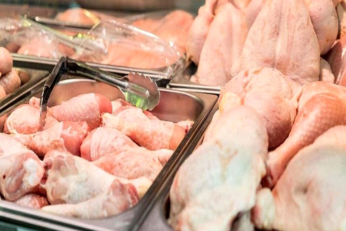 ۶۵۰ هزار قطعه مرغ به بازار چهارمحال و بختیاری عرضه شد