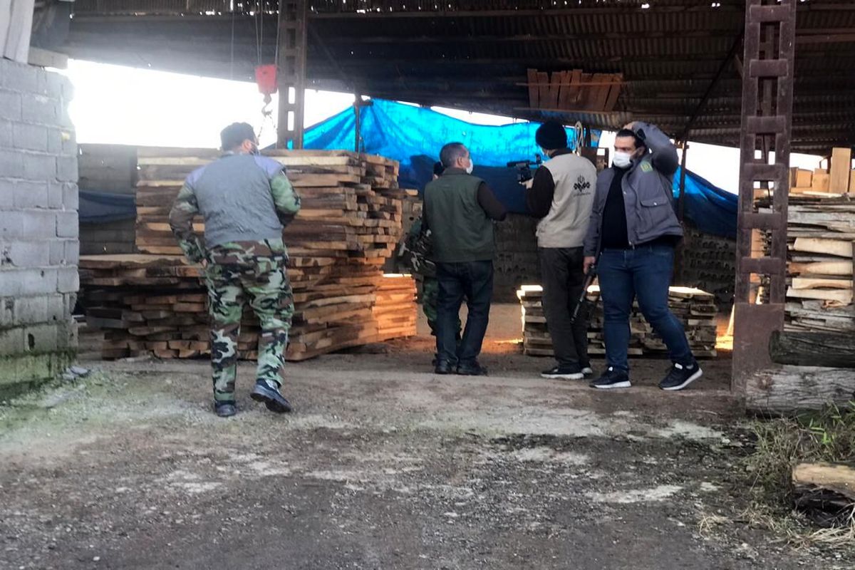 مقابله با قاچاق چوب جنگلی در مازندران تشدید شد