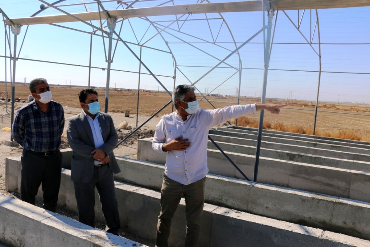 هرمزگان پیشرو در  نو آوری و توسعه فعالیت های نوین آبزی پروری