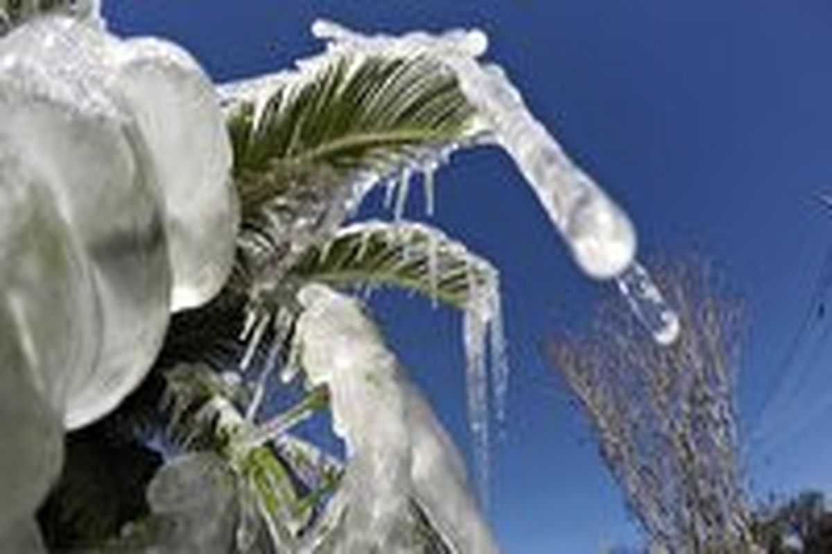 دمای زیرصفر در تمام شهرستان‌های خراسان جنوبی ثبت شد