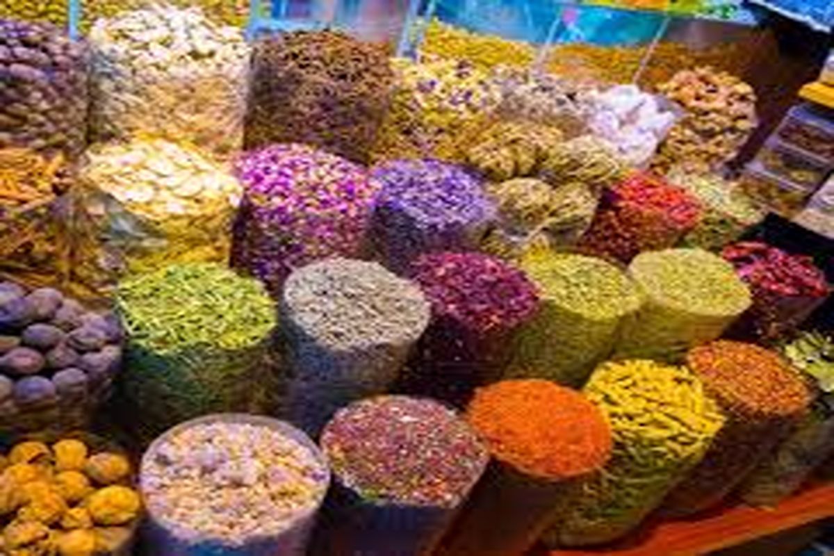 همایش ملی چالش های فرآوری زنجیره ارزش گیاهان دارویی در ارومیه برگزار می شود