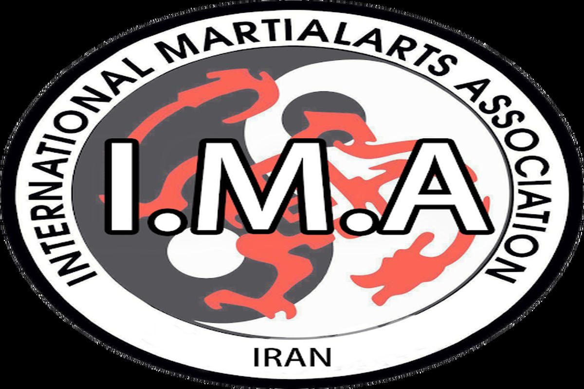 مسئول کمیته توسعه اقتصاد ورزشی و جوانان سازمان IMA کاراته ایران منصوب شد