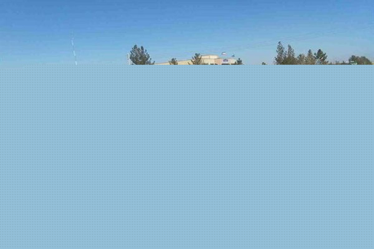 کشف ۷۸ راس دام قاچاق