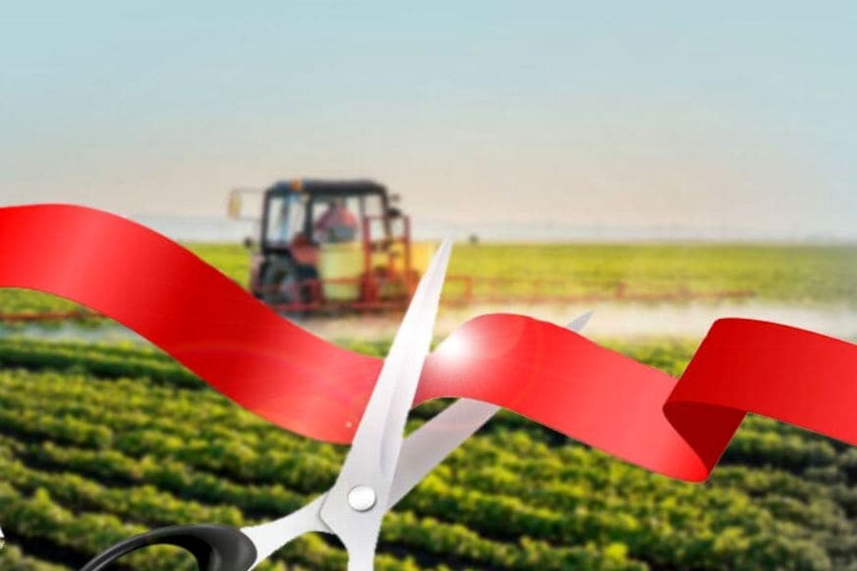 افتتاح ۶ طرح تولیدی و عمرانی کشاورزی در نقده
