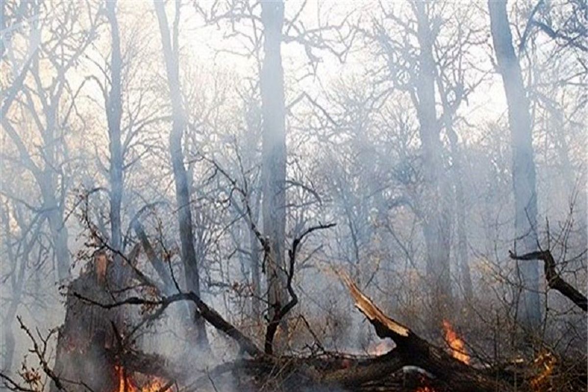 آتش سوزی ۲هکتار از جنگل‌های گیلان