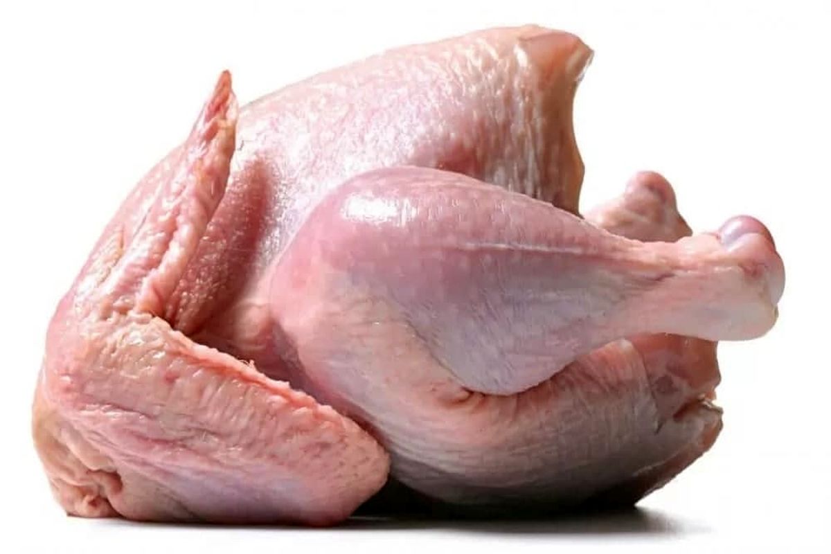 تولید بیش از ۴ هزار تن مرغ در استان بوشهر