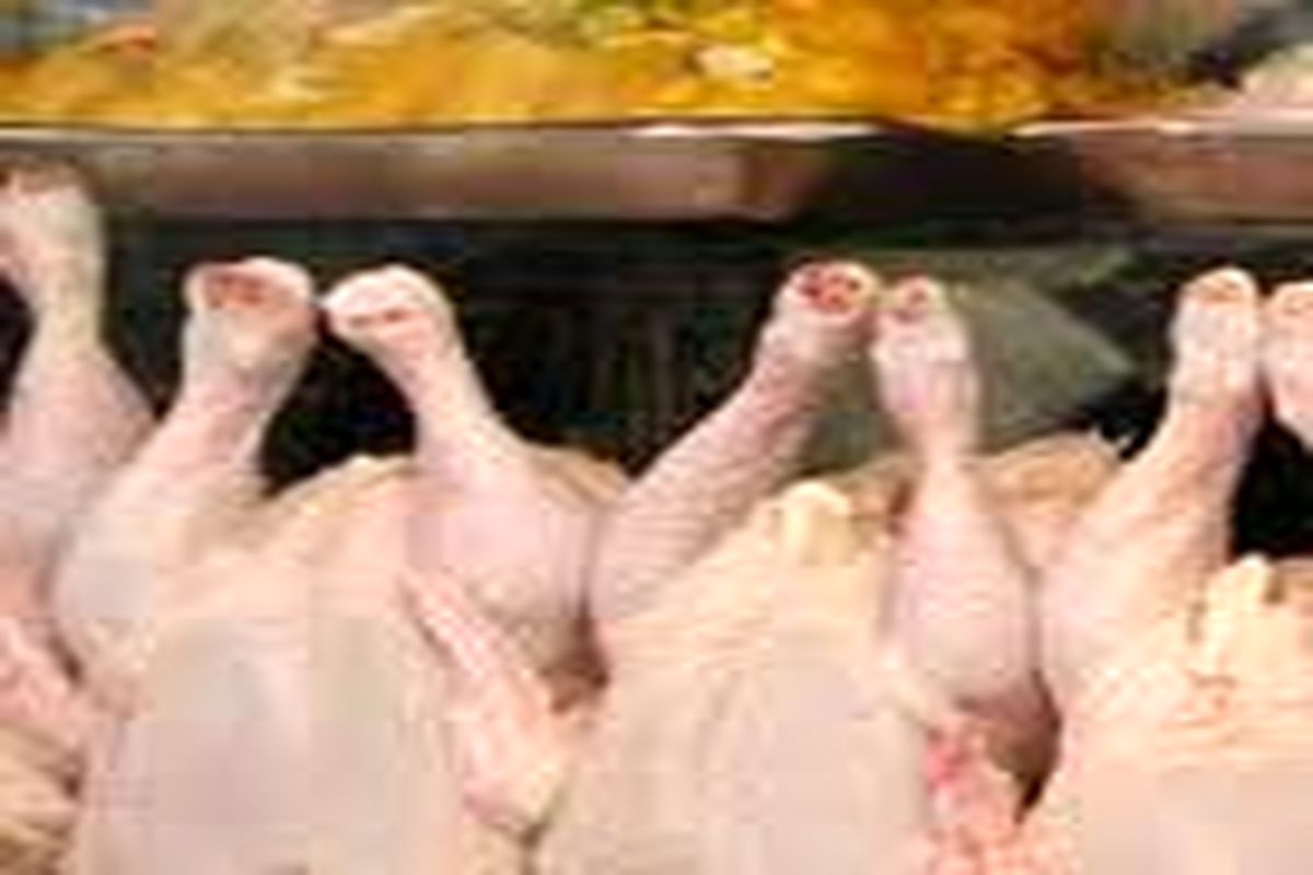 لزوم نظارت بر کشتار مرغ در استان