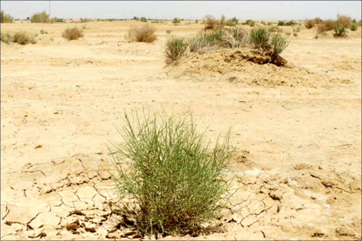 فرسایش خاک در ایران سالانه ۱۶ تن در هکتار است/ لزوم اختصاص بودجه برای ممانعت از ورود رسوب به مخزن سدها