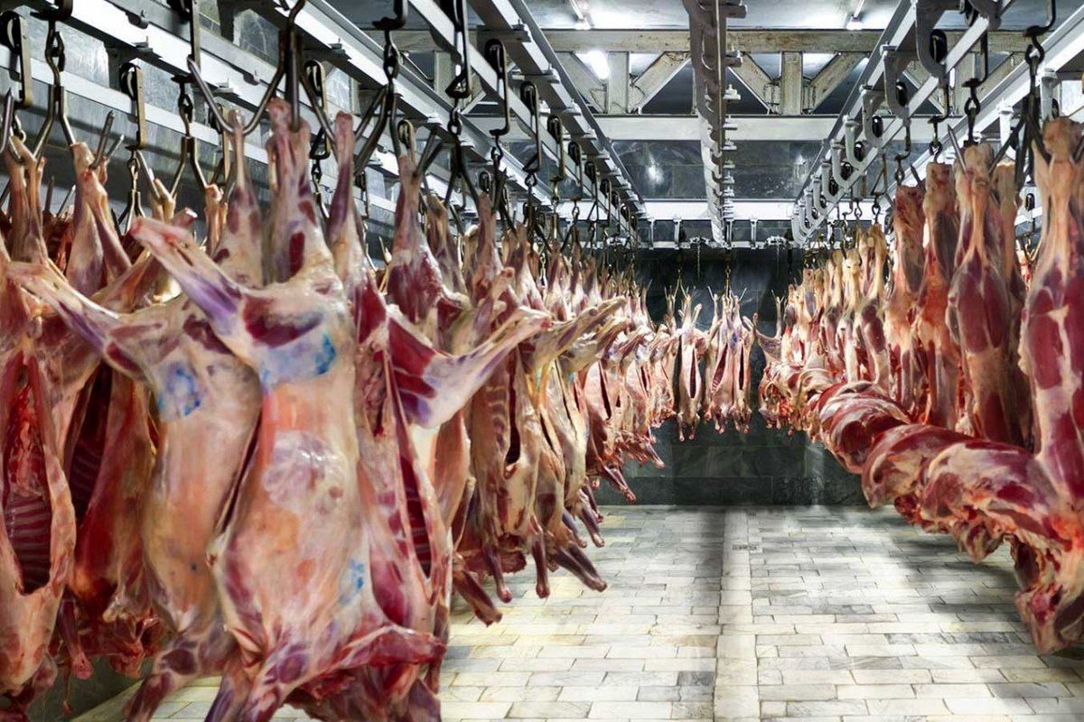کنترل بازار گوشت با حذف واسطه‌ها و دلالان