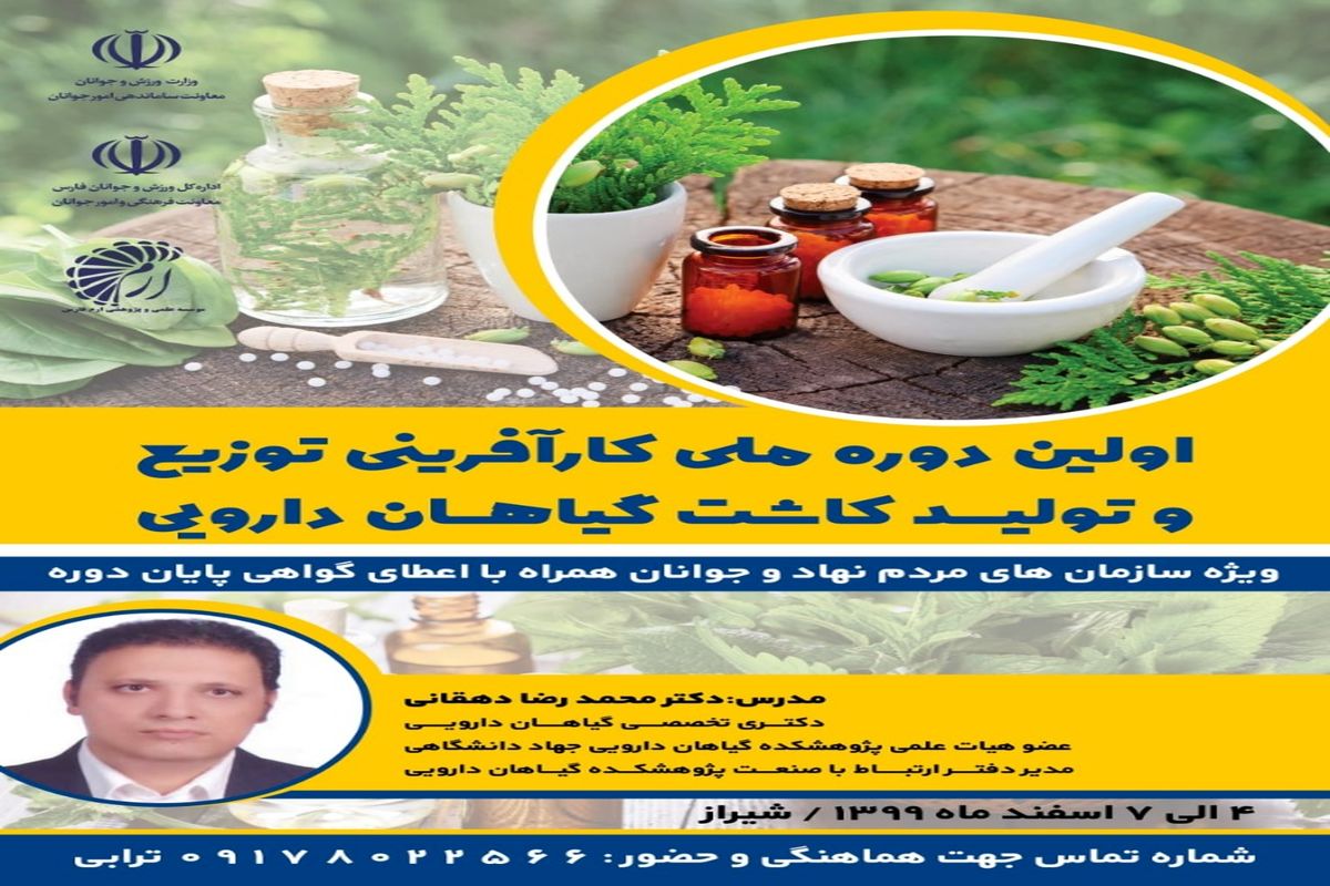 برگزاری طرح های ملی در حوزه کارآفرینی ویژه سازمانهای مردم نهاد جوانان در شیراز