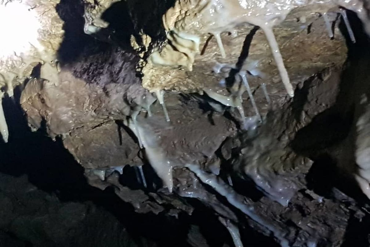 کشف غار طبیعی در منطقه دیلمان گیلان
