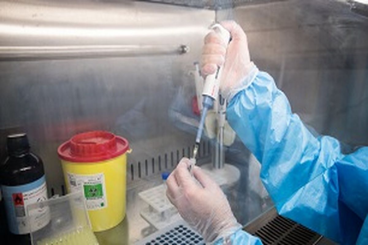 تولید کیت ۵۵ دقیقه‌ای تشخیص کرونا در دانشگاه امیرکبیر