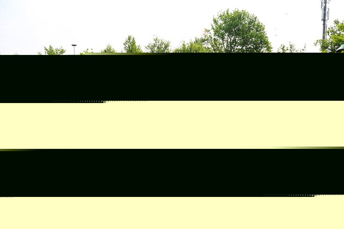 ۴ باغ میوه در بخش مرکزی شهر تهران ایجاد شد