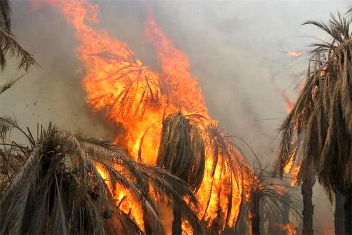 آتش ۶۰۰ نخل خرما «کتیج» را خاکستر کرد