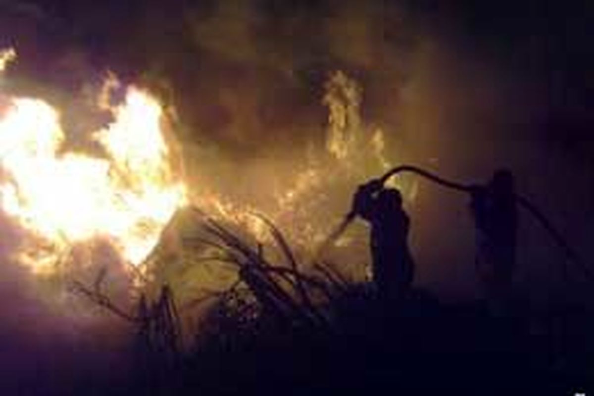 آتش سوزی در ۵ هکتار از مزارع گندم