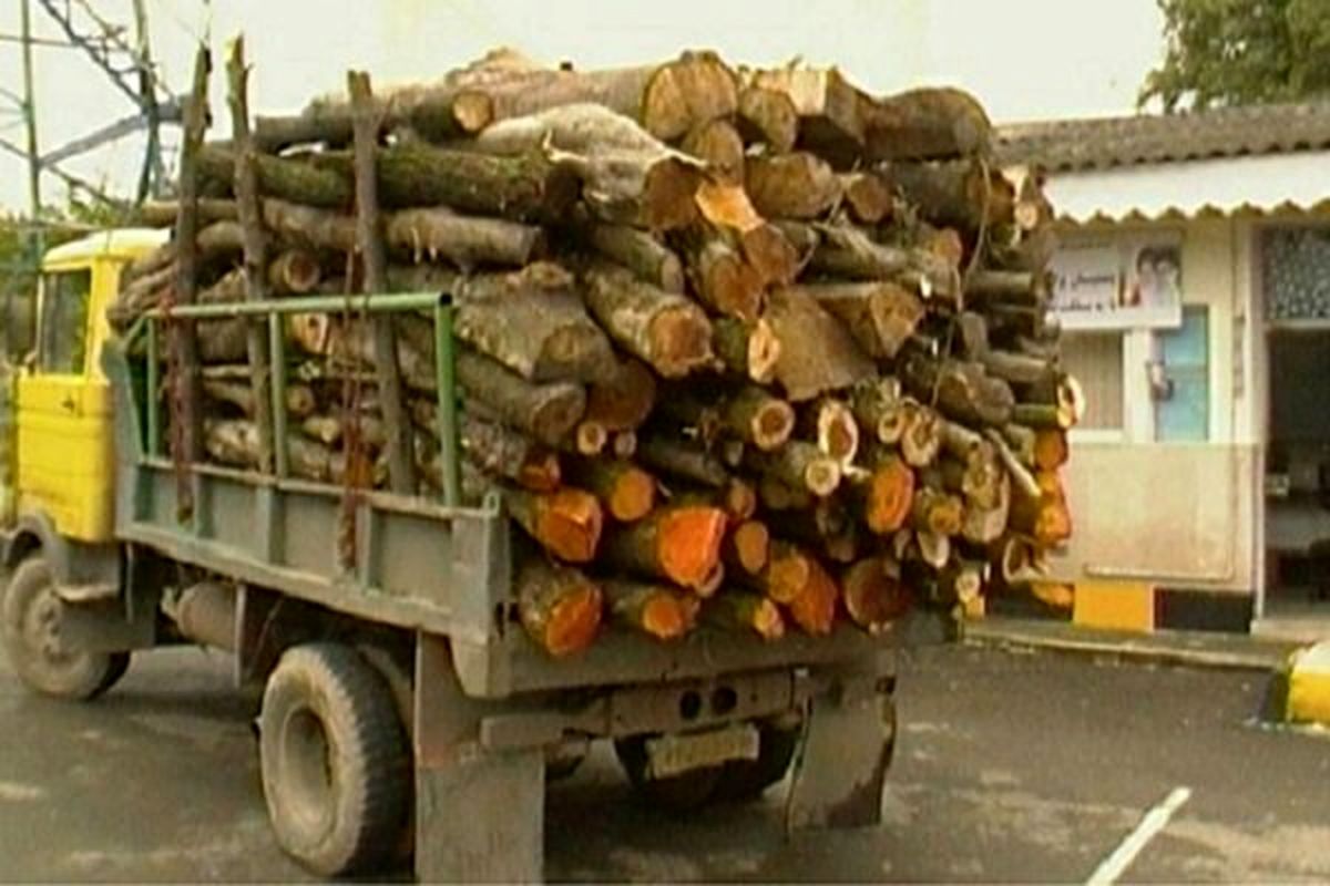 کشف ۱۵ تن چوب قاچاق بلوط در اقلید