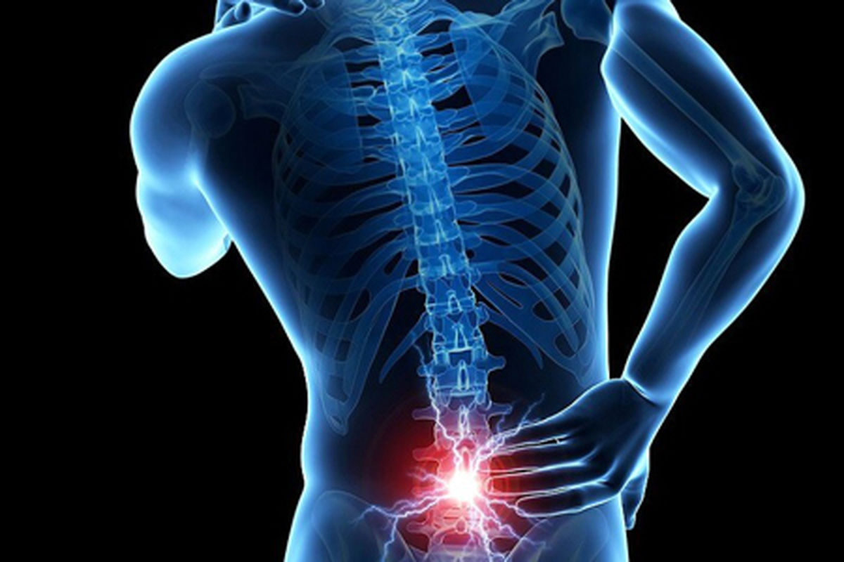 بروز دردهای مختلف کمر با عادت‌های اشتباه/ اهمیت تقویت عضلات برای بهبود عملکرد بدن/ بی توجه‌ای باعث تغییر ستون فقرات می‌شود