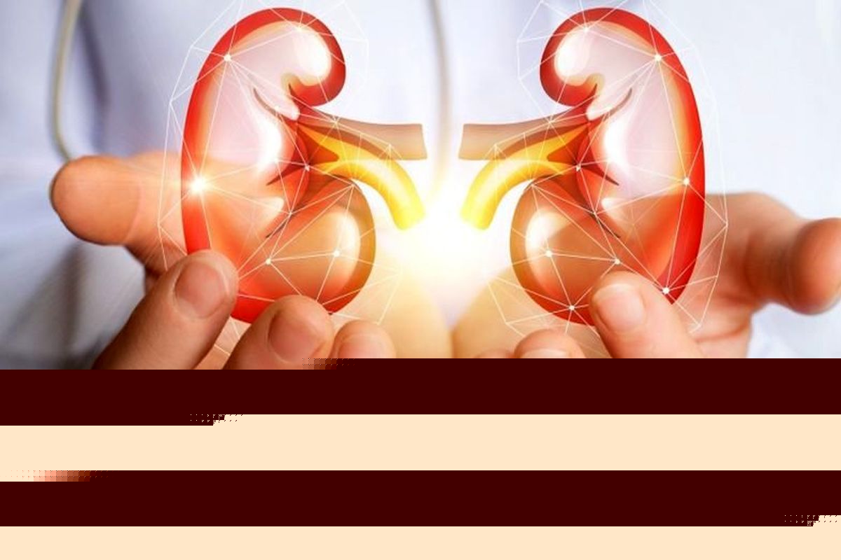 با این خوردنی‌ها کلیه هایتان را پاکسازی کنید