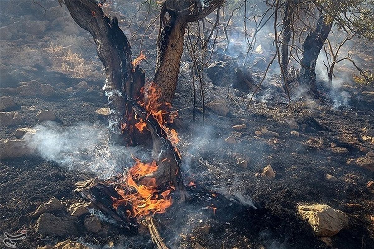 مهار آتش در جنگل‌های ارزوئیه