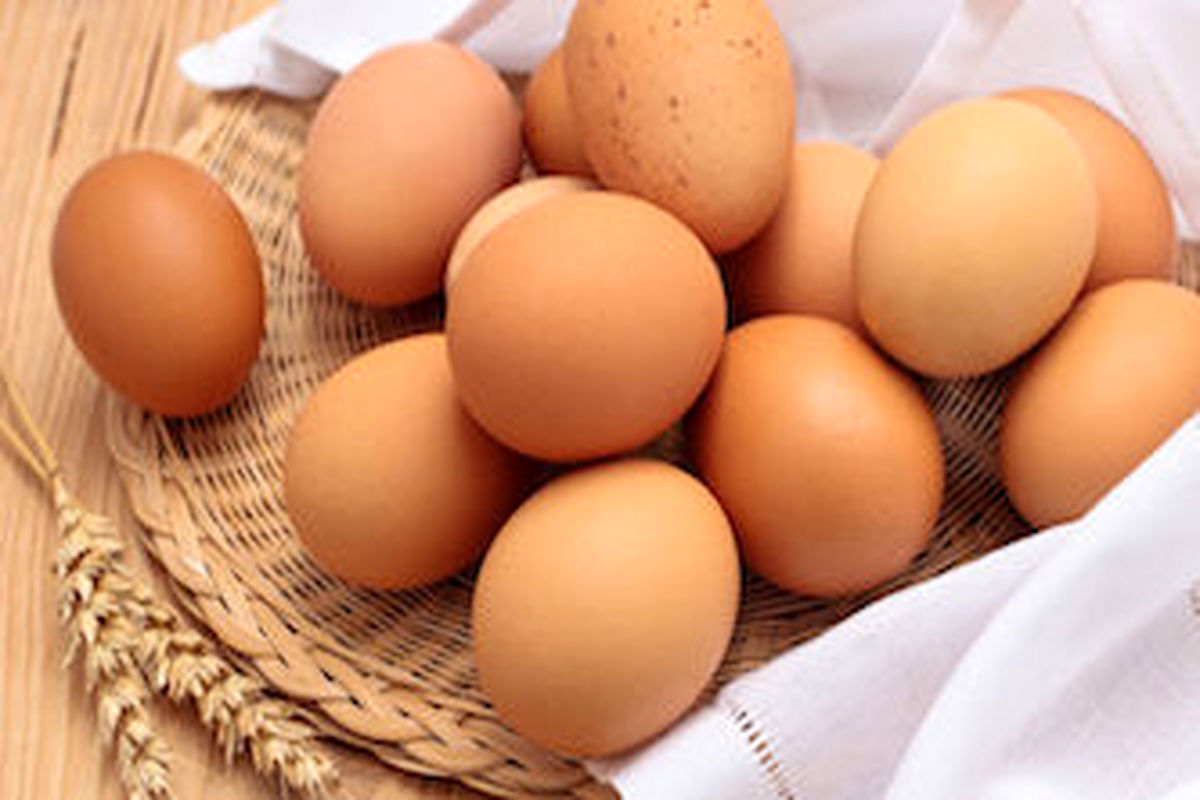 عرضه تخم‌مرغ در سازمان میادین با قیمت مصوب ١٧٩٠٠ تومان و توقف صادرات
