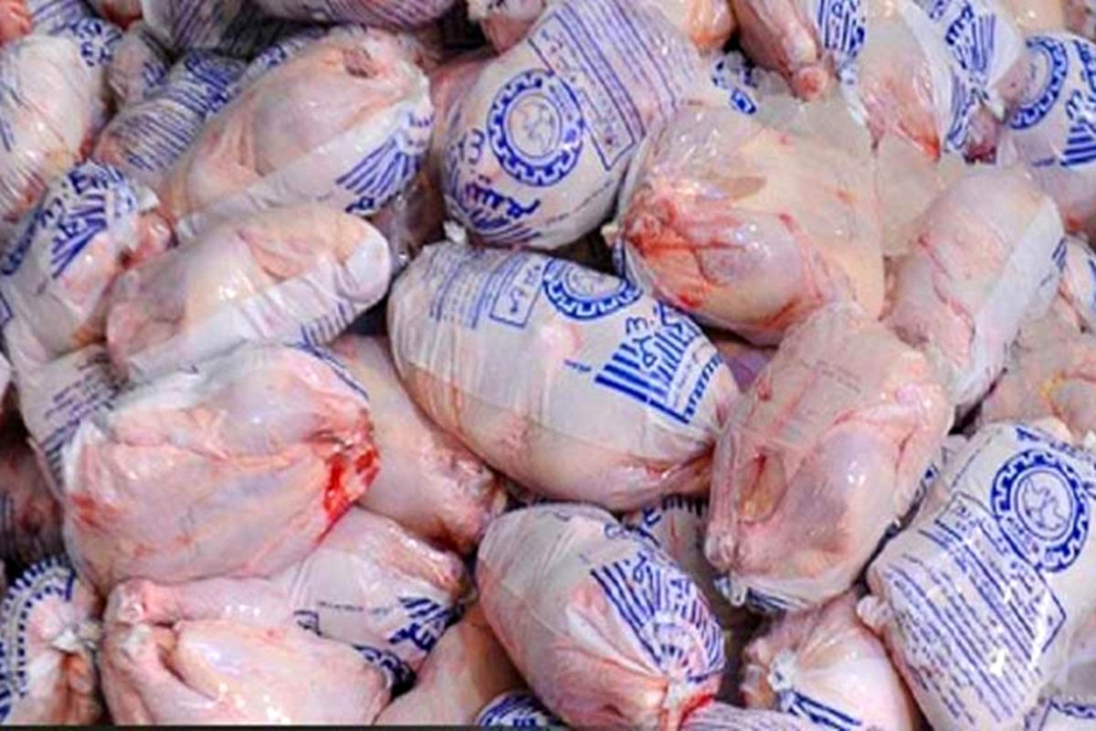 توزیع ۳۵۰ تن مرغ منجمد بین اقشار کم درآمد