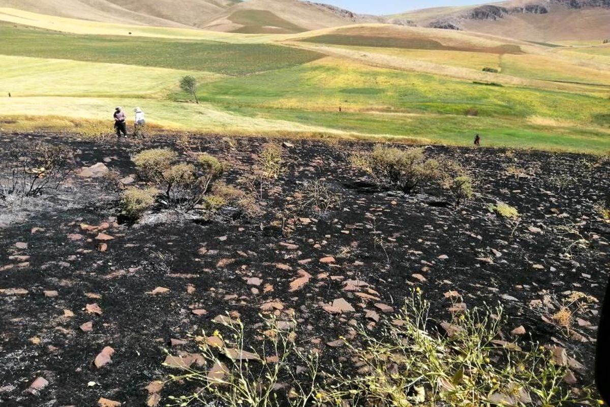 آتش سوزی ۶ هکتار از اراضی کشاورزی در آذربایجان شرقی