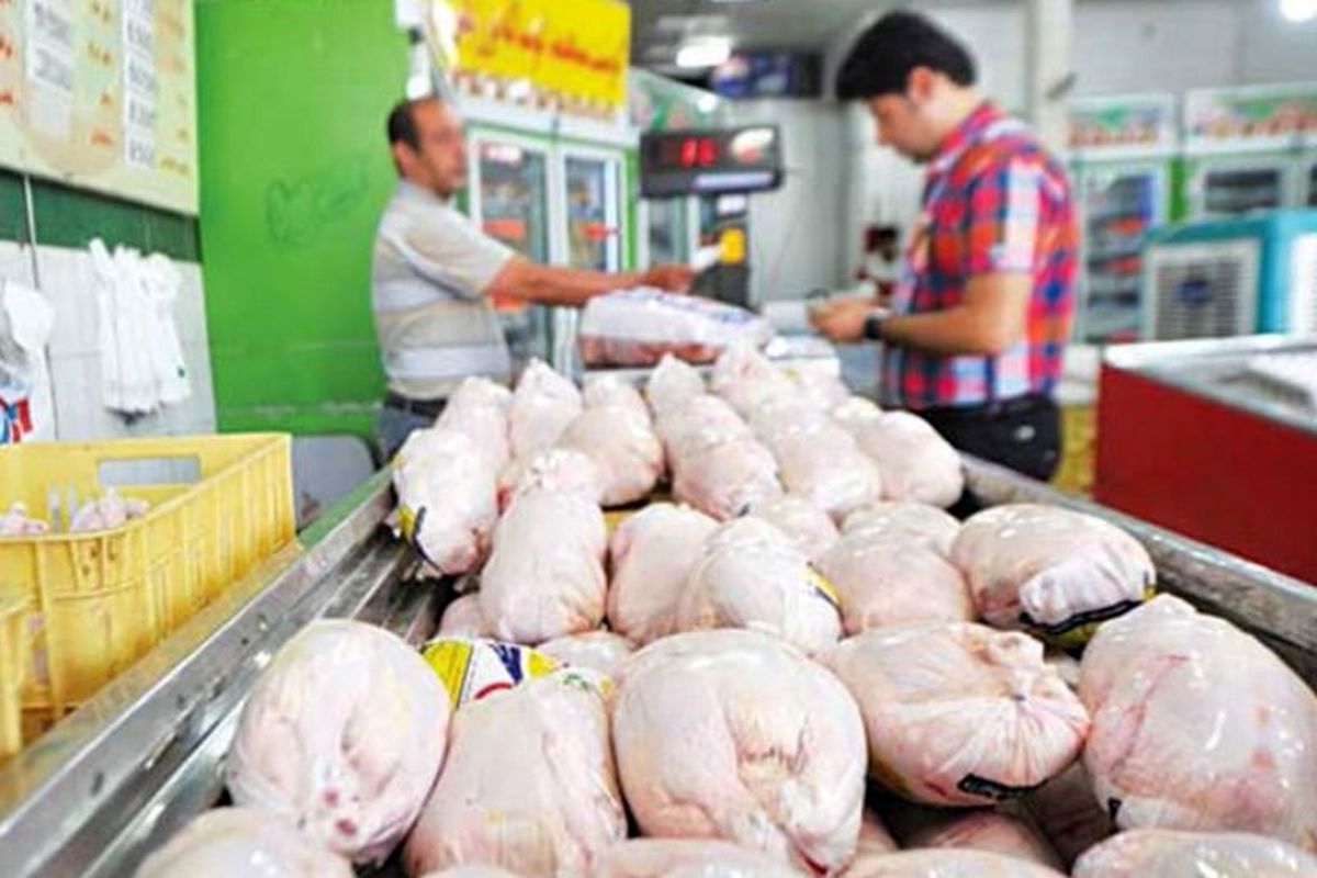 توزیع ۳۰۰ تن مرغ منجمد با نرخ مصوب دولتی در استان مرکزی آغاز شد