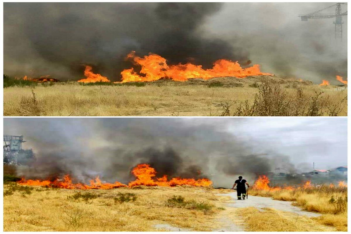 اطفای حریق علوفه هرز در محدوده کمربندی چیتگر/ آتش سوزی های سریالی در اراضی کشاورزی شهرستان قدس