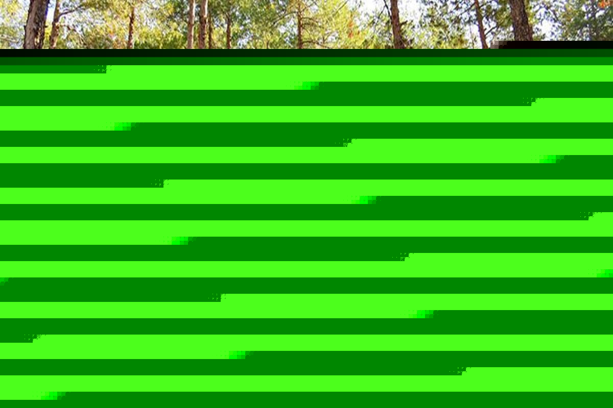 فردیس صاحب پارک جنگلی می شود