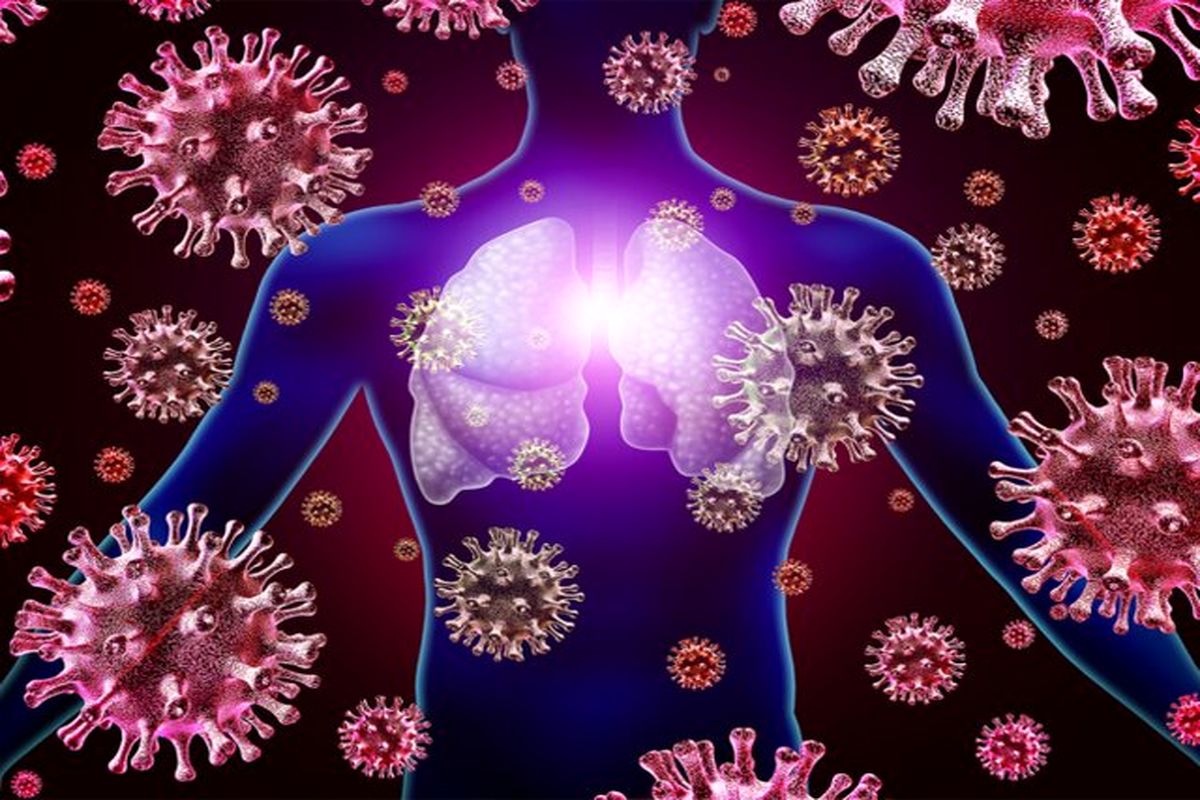 ویروس کرونا روی کدام قسمت سیستم تنفسی بیشتر اثر می گذارد؟