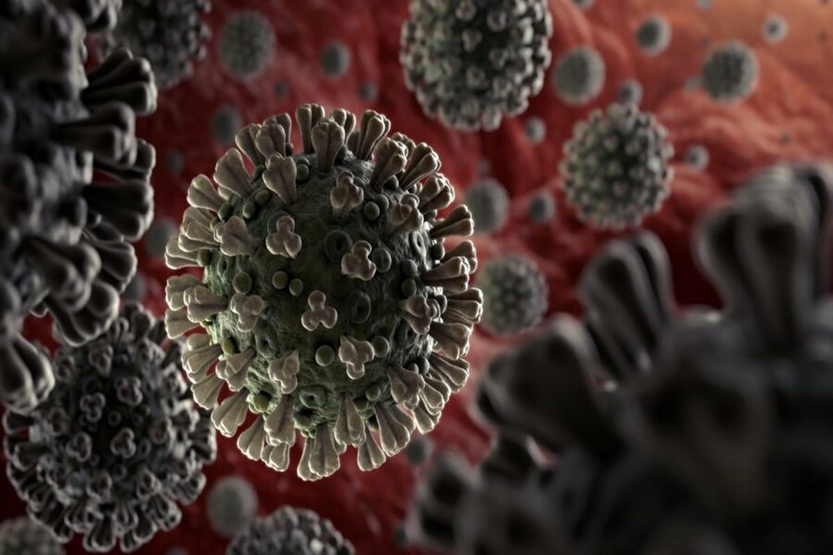 تنها راه کنترل جدی ویروس کرونا چیست؟