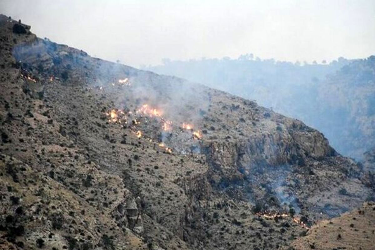 مهار آتش سوزی در منطقه چاه فعله غربی بندرعباس