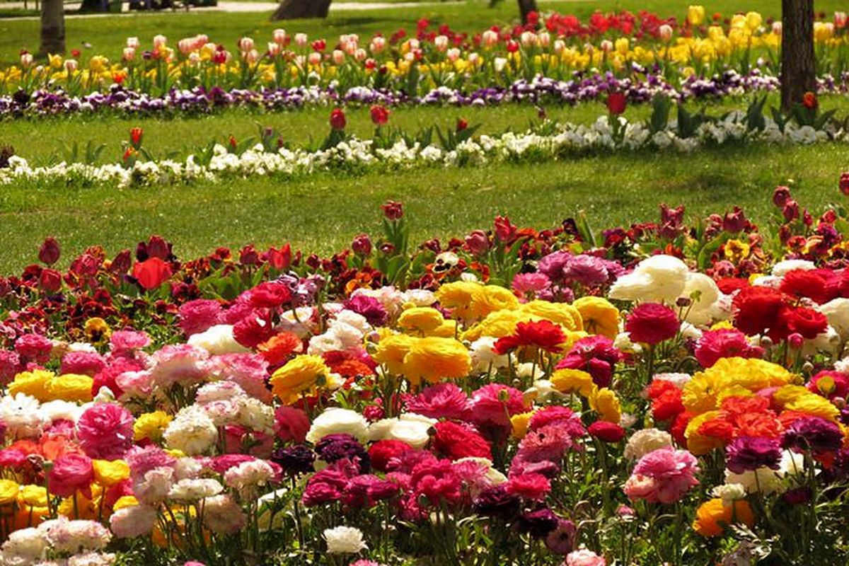 ایجاد فرهنگسرای کسب و کار در همدان برای نخستین بار/پارک تخصصی گلها در همدان افتتاح شد