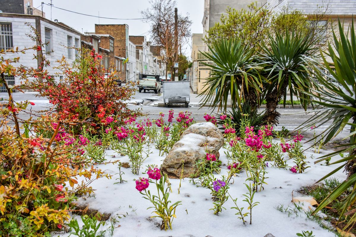 تهران در انتظار بارش های خفیف/ تهران خنک می شود
