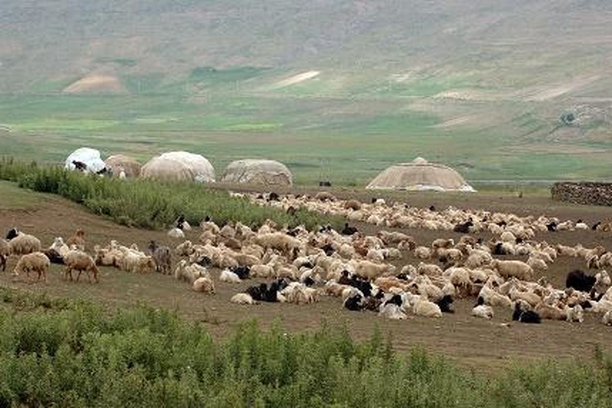 ضرورت تامین آب دائمی در راستای جهش تولید در مناطق عشایری