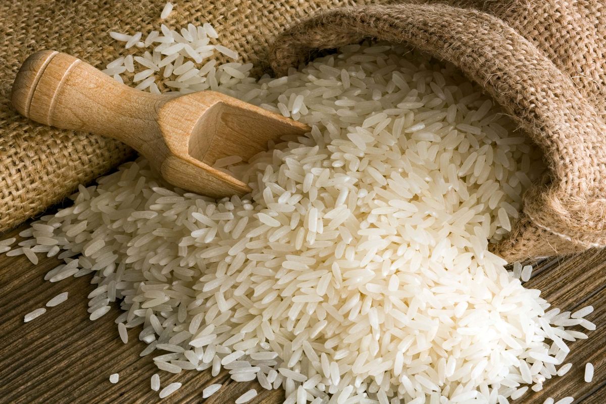 جزئیات تصمیمات جدید ستاد تنظیم بازار برای تعادل‌بخشی به بازار برنج/ آغاز عرضه ۳۰ هزار تن برنج از محل ذخایر