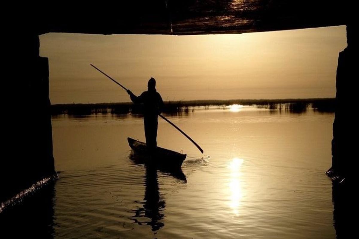 سه فیلم  ایرانی ها در فهرست «ایدفا»