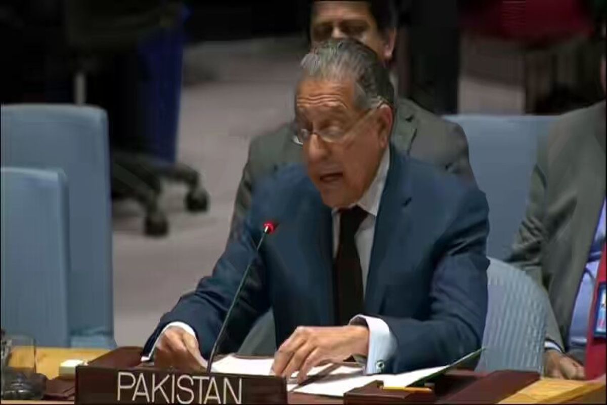 پاکستان با افزایش اعضای دائم شورای امنیت مخالفت کرد
