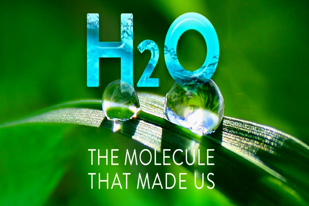 «(H۲۰)،مولکول سازنده ما» به شبکه چهار آمد