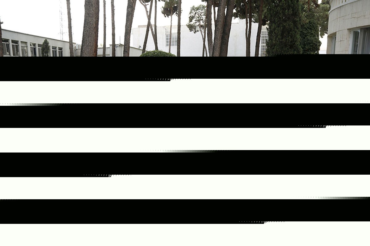 نتوانستیم ارز مورد نیاز را به موقع تهیه کنیم/ ۲۵ هزار تن برنج ترخیص شده است