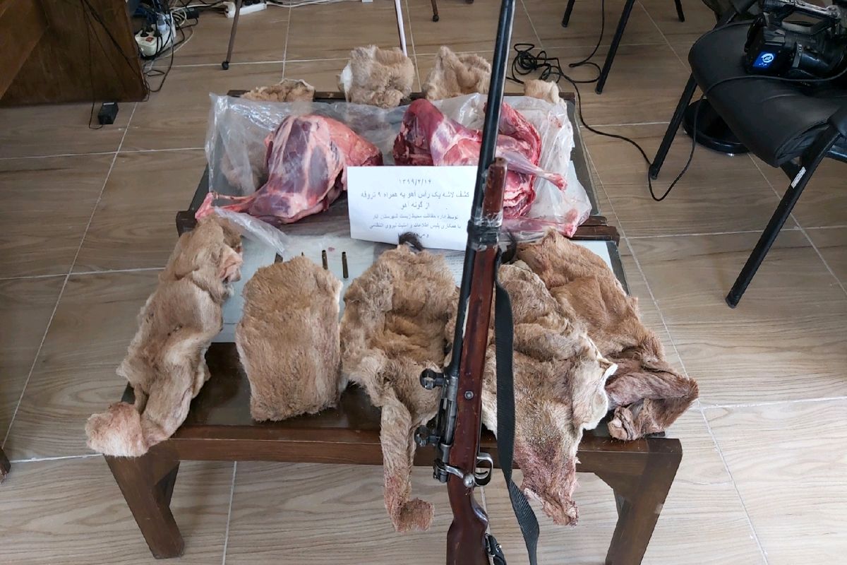 دستگیری شکارچیان متخلف در رفسنجان