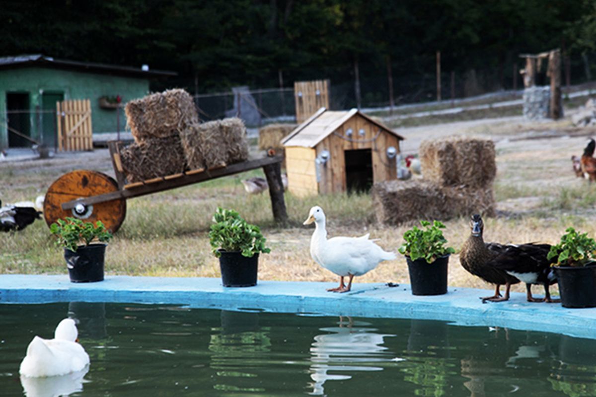 ۱۵ متقاضی ایجاد گردشگری کشاورزی در گلستان
