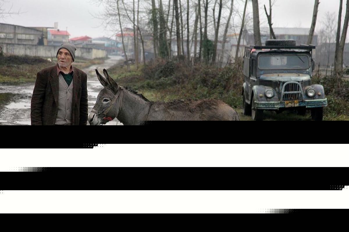 سینما خر آذر اکران‌آنلاین می‌شود