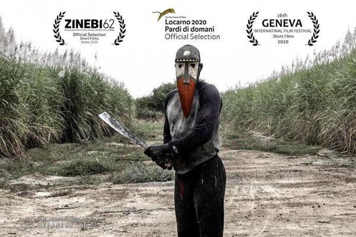 مستند «زمین شماره اس ۷» در جشنواره جهانی زینه‌بی بیلبائو به نمایش در می آید